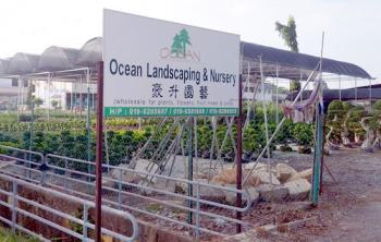 OCEAN LANDSCAPING & NURSERY