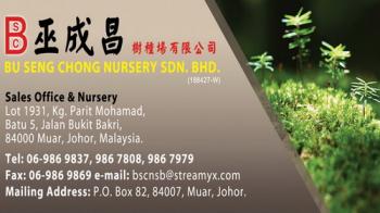 BU SENG CHONG NURSERY SDN BHD