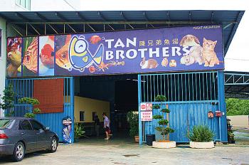 TAN BROTHERS AQUATIC